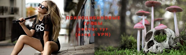 ALPHA PVP Богданович